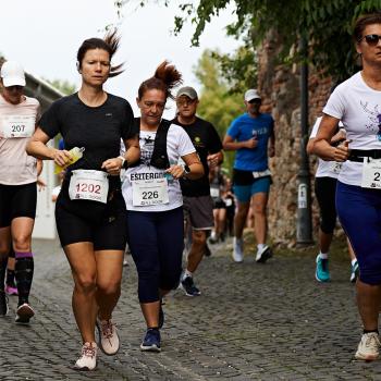 Felmaraton2025_MB-160.jpg