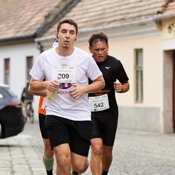 Felmaraton2025_MB-276.jpg