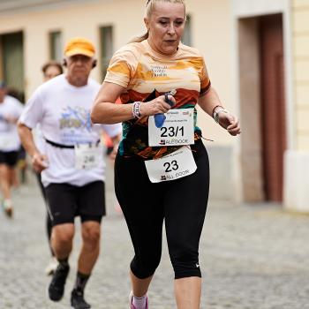 Felmaraton2025_MB-312.jpg