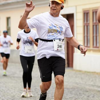 Felmaraton2025_MB-313.jpg