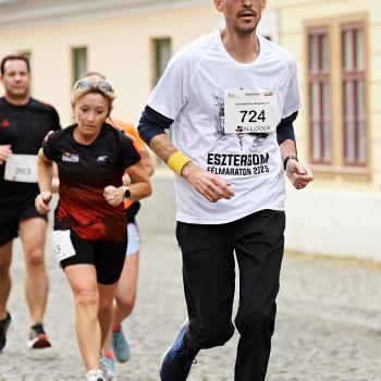 Felmaraton2025_MB-316.jpg