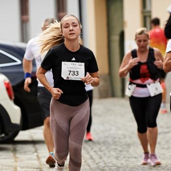 Felmaraton2025_MB-368.jpg