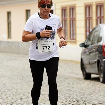 Felmaraton2025_MB-372.jpg
