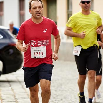 Felmaraton2025_MB-429.jpg
