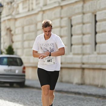 Képgaléria, 81/431 Kép