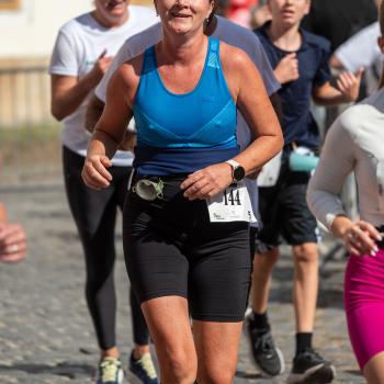 Képgaléria, 256/830 Kép